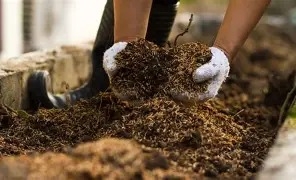 Evento olericultura-basica--compostagem-dias-21-e-22-de-agosto-2026---marilia