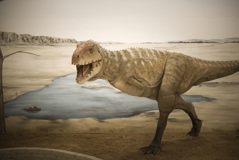 Noticia museu-de-paleontologia-completa-19-anos-de-historia